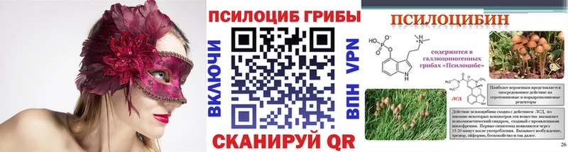 Купить  Котельники  Галлюциногенные грибы Psilocybine cubensis 